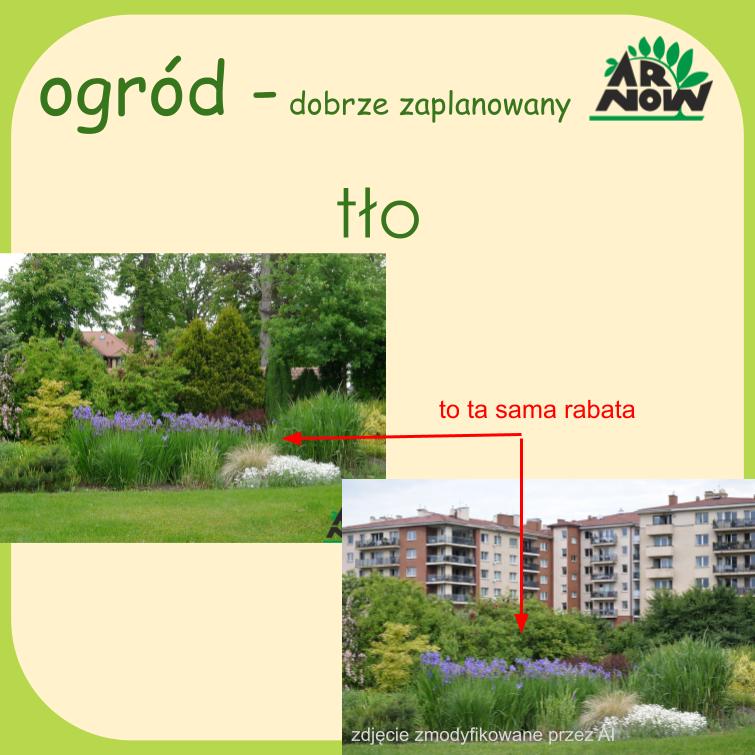 metody _06_ODZ ogród dobrze zaplanowany .jpg